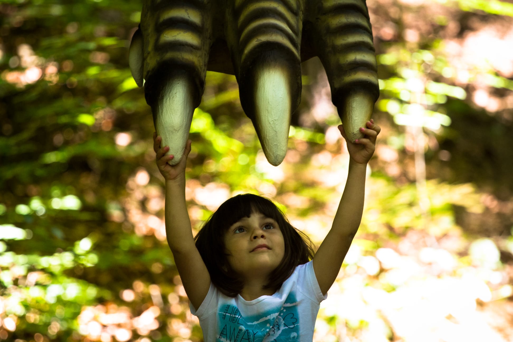 Dino Parc